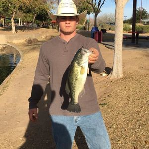 Meet your Posher, Wade